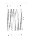 Vascular endothelial growth factor 2 diagram and image