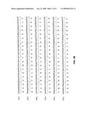 Vascular endothelial growth factor 2 diagram and image