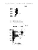 Vascular endothelial growth factor 2 diagram and image