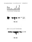 Vascular endothelial growth factor 2 diagram and image