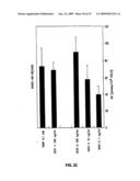 Vascular endothelial growth factor 2 diagram and image