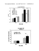 Vascular endothelial growth factor 2 diagram and image