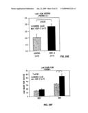 Vascular endothelial growth factor 2 diagram and image