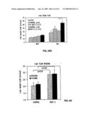 Vascular endothelial growth factor 2 diagram and image