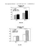 Vascular endothelial growth factor 2 diagram and image