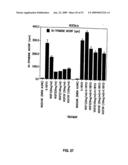 Vascular endothelial growth factor 2 diagram and image