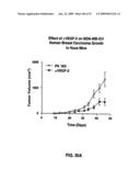 Vascular endothelial growth factor 2 diagram and image