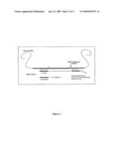 Single Nucleotide Polymorphism Detection from Unamplified Genomic DNA diagram and image