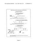 Single Nucleotide Polymorphism Detection from Unamplified Genomic DNA diagram and image