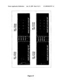 Single Nucleotide Polymorphism Detection from Unamplified Genomic DNA diagram and image