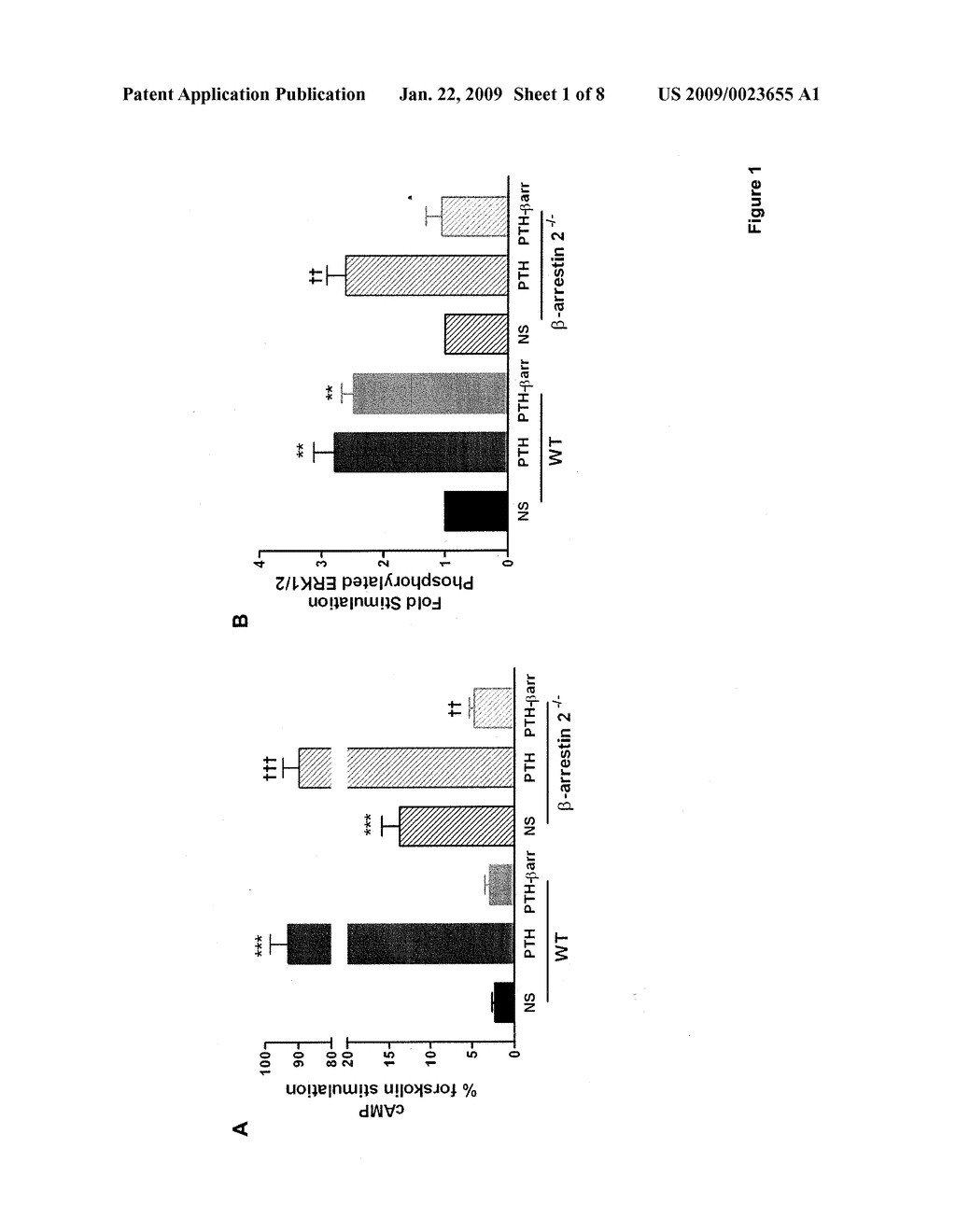 Biased Ligands for Receptors Such as the PTH Receptor - diagram, schematic, and image 02