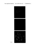 Applications with and Methods for Producing Selected Interstrand Cross-Links in Nucleic Acids diagram and image