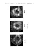 Methods for the Treatment of Sepsis and Sepsis-Associated Cardiac Dysfunction diagram and image