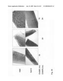 Crafting of cartilage diagram and image