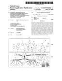 Terminal apparatus used in information distribution system, recording medium on which information processing program is recorded, and information processing method diagram and image