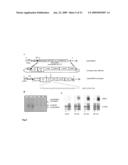 SHRNA AND SIRNA AND MIRNA EXPRESSION IN A LIVING ORGANISM UNDER CONTROL OF A CODON-OPTIMIZED REPRESSOR GENE diagram and image