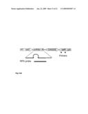 SHRNA AND SIRNA AND MIRNA EXPRESSION IN A LIVING ORGANISM UNDER CONTROL OF A CODON-OPTIMIZED REPRESSOR GENE diagram and image