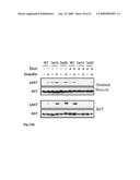 SHRNA AND SIRNA AND MIRNA EXPRESSION IN A LIVING ORGANISM UNDER CONTROL OF A CODON-OPTIMIZED REPRESSOR GENE diagram and image