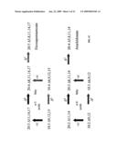 DESATURASES AND METHODS OF USING THEM FOR SYNTHESIS OF POLYUNSATURATED FATTY ACIDS diagram and image