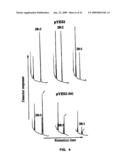 DESATURASES AND METHODS OF USING THEM FOR SYNTHESIS OF POLYUNSATURATED FATTY ACIDS diagram and image