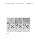 PESTICIDAL COMPOSITION COMPRISING INDOLE DERIVATES diagram and image