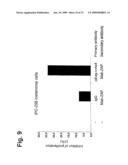 Novel Antibodies Directed to the Mammalian Eag1 Ion Channel Protein diagram and image