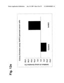 Novel Antibodies Directed to the Mammalian Eag1 Ion Channel Protein diagram and image