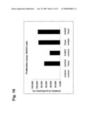 Novel Antibodies Directed to the Mammalian Eag1 Ion Channel Protein diagram and image