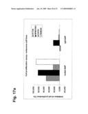 Novel Antibodies Directed to the Mammalian Eag1 Ion Channel Protein diagram and image