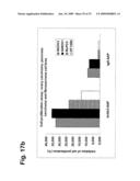 Novel Antibodies Directed to the Mammalian Eag1 Ion Channel Protein diagram and image