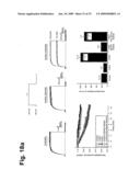 Novel Antibodies Directed to the Mammalian Eag1 Ion Channel Protein diagram and image