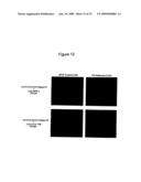 Antagonists Specific For Denatured Collagen And Methods Of Using Same diagram and image