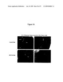 Antagonists Specific For Denatured Collagen And Methods Of Using Same diagram and image