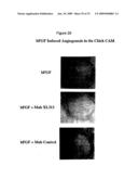 Antagonists Specific For Denatured Collagen And Methods Of Using Same diagram and image