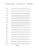 Chlamydia Antigens and Uses Thereof diagram and image