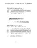 Chlamydia Antigens and Uses Thereof diagram and image