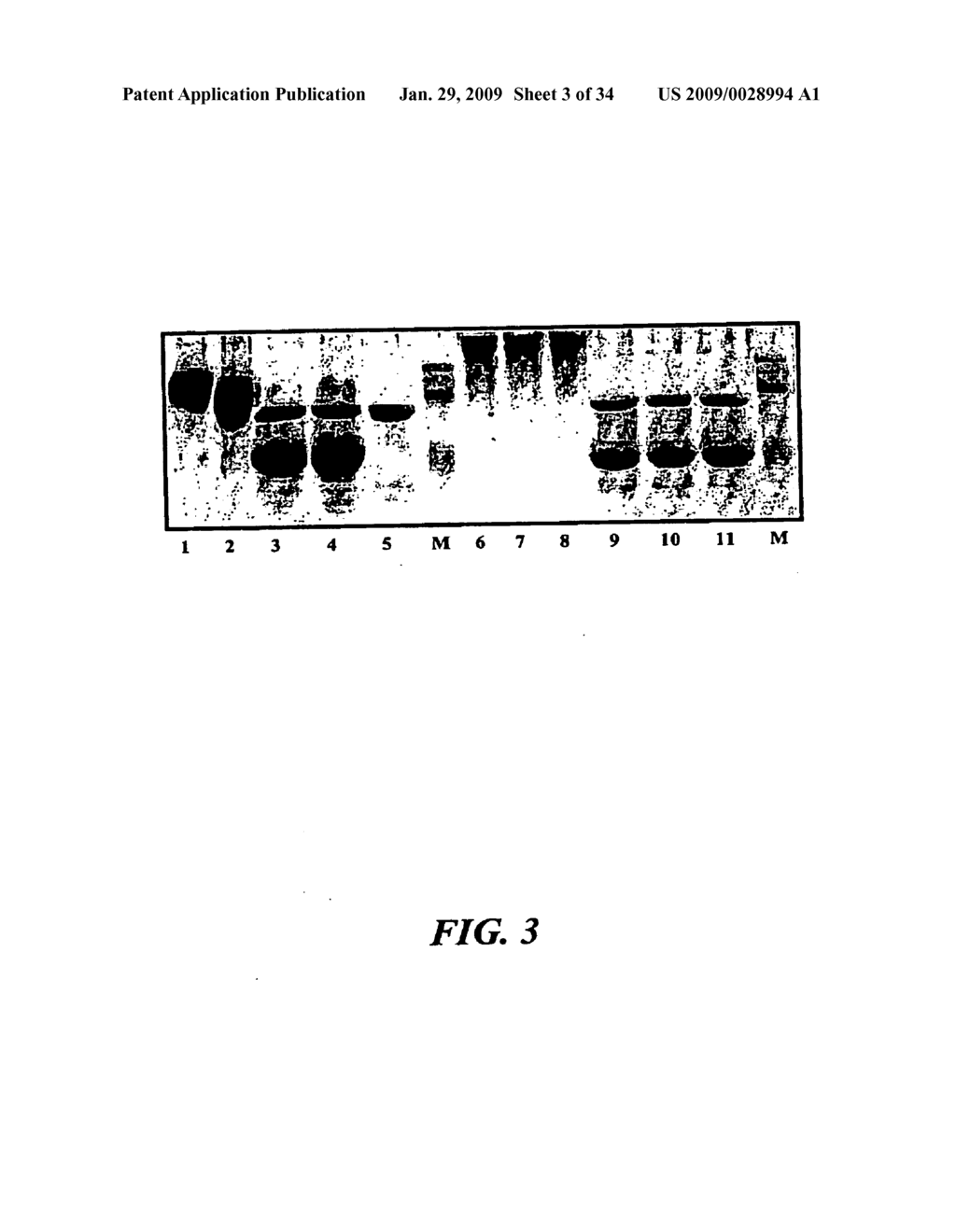 USING MUTATIONS TO IMPROVE ASPERGILLUS PHYTASES - diagram, schematic, and image 04