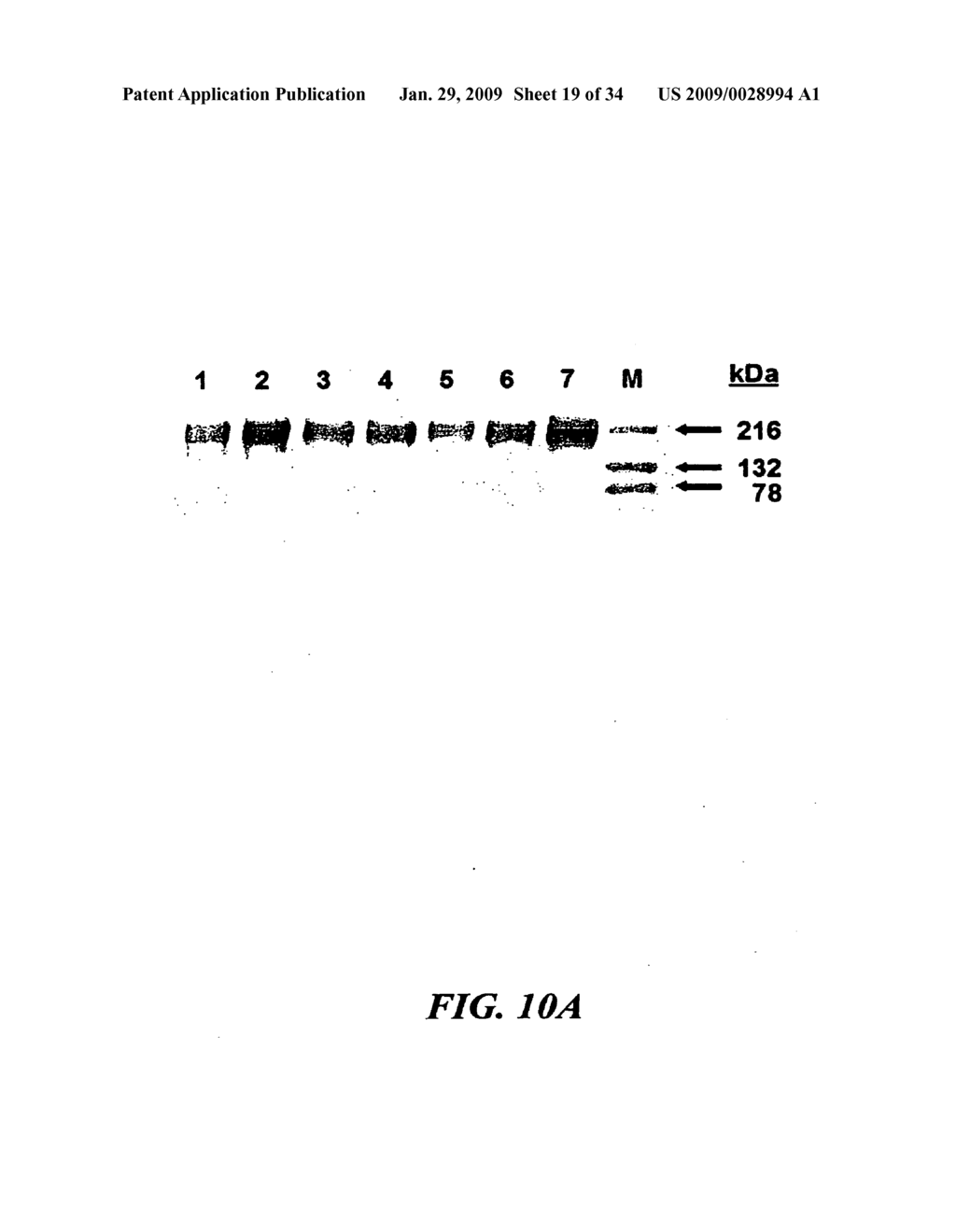 USING MUTATIONS TO IMPROVE ASPERGILLUS PHYTASES - diagram, schematic, and image 20