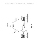 CYCLODEXTRIN INCLUSION COMPLEXES AND METHODS OF PREPARING SAME diagram and image