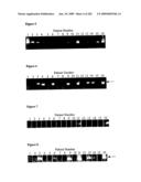 Detection of human papilloma virus diagram and image