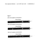 Detection of human papilloma virus diagram and image