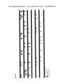 Detection of human papilloma virus diagram and image