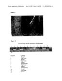 Detection of human papilloma virus diagram and image