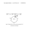 Kit for Detecting the Antibody of HCV and Its Preparing Method diagram and image