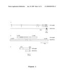 Methods and Compositions for the Diagnosis and Treatment of Schizophrenia diagram and image