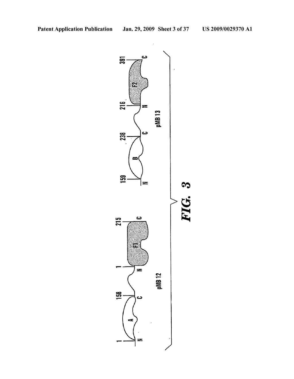 REAL TIME NUCLEIC ACID DETECTION IN VIVO USING PROTEIN COMPLEMENTATION - diagram, schematic, and image 04