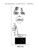 REAL TIME NUCLEIC ACID DETECTION IN VIVO USING PROTEIN COMPLEMENTATION diagram and image