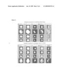 High sensitivity multiparameter method for rare event analysis in a biological sample diagram and image