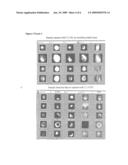 High sensitivity multiparameter method for rare event analysis in a biological sample diagram and image