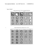 High sensitivity multiparameter method for rare event analysis in a biological sample diagram and image